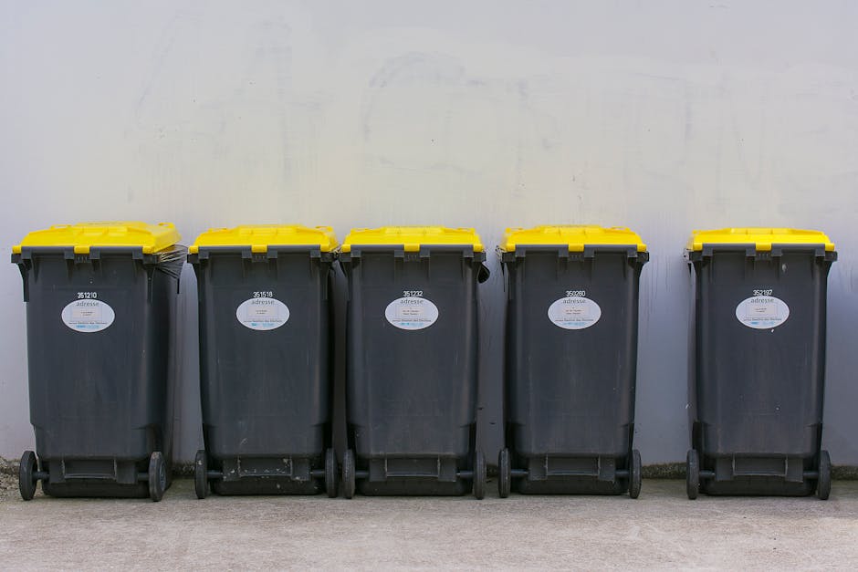 Blackheath Village rubbish removal guide for residents